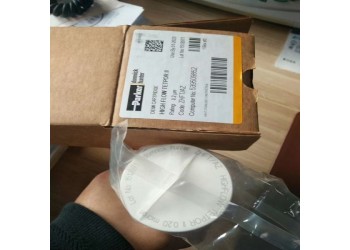 多明尼克.漢德原裝除菌濾芯ZHFT-1C