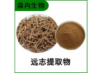 森冉生物 遠(yuǎn)志提取物 葽繞提取物 比例提取原料粉