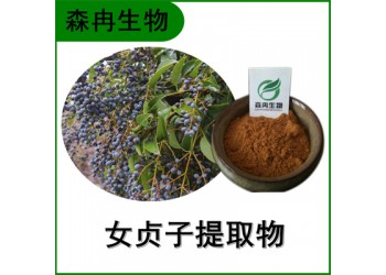 森冉生物 女貞子提取物 冬青子提取物 比例提取原料粉