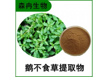 森冉生物 鵝不食草提取物 石胡荽提取物 比例提取原料粉