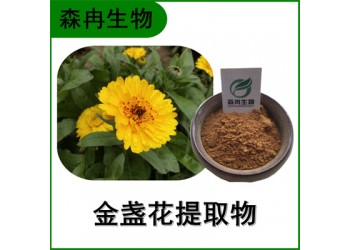 森冉生物 金盞花提取物 長(zhǎng)生菊提取物 比例提取原料粉