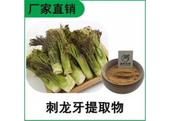 森冉生物 刺龍牙提取物 刺老芽提取物 比例提取原料粉